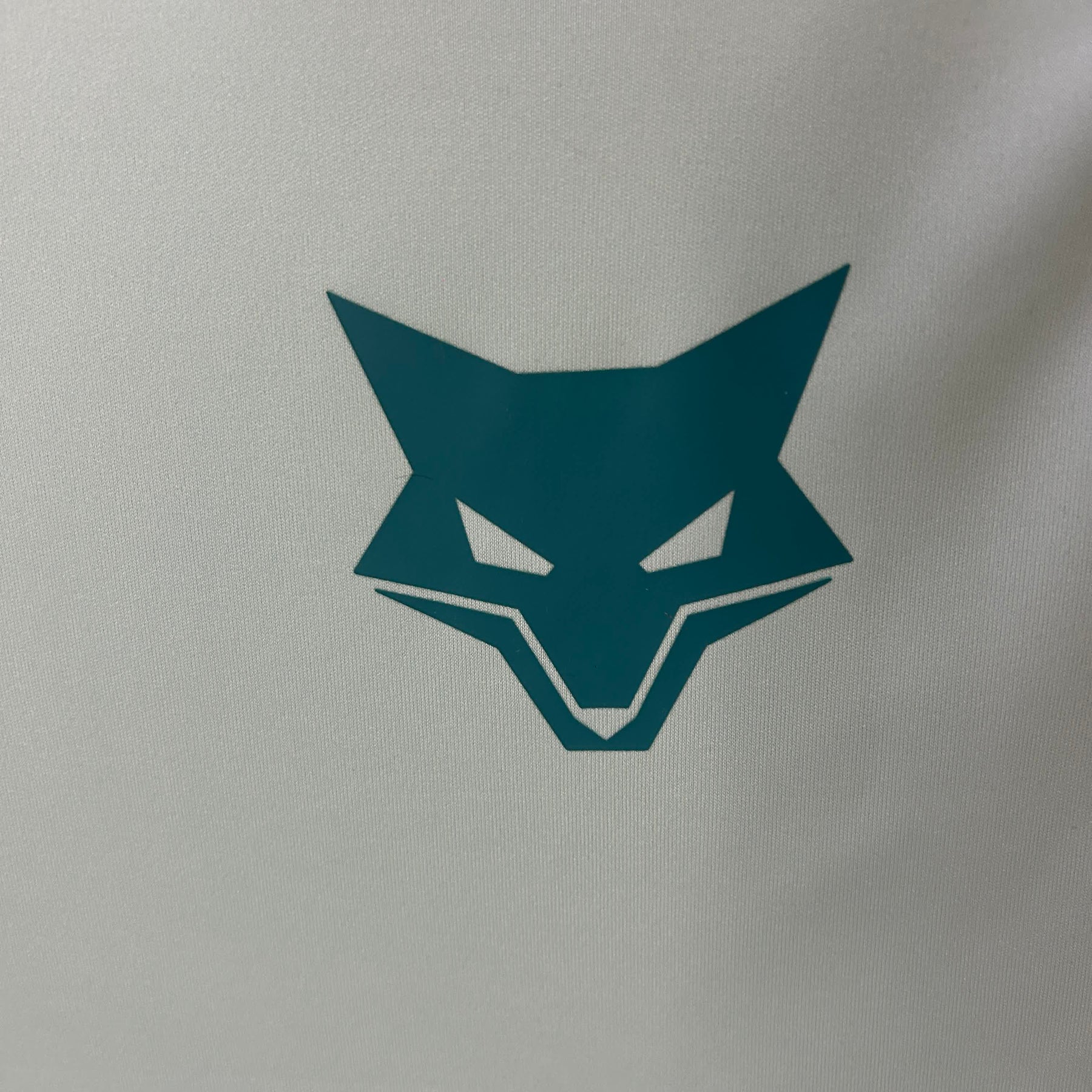 Camisa Cruzeiro Feminino Treino 25/26 Adidas