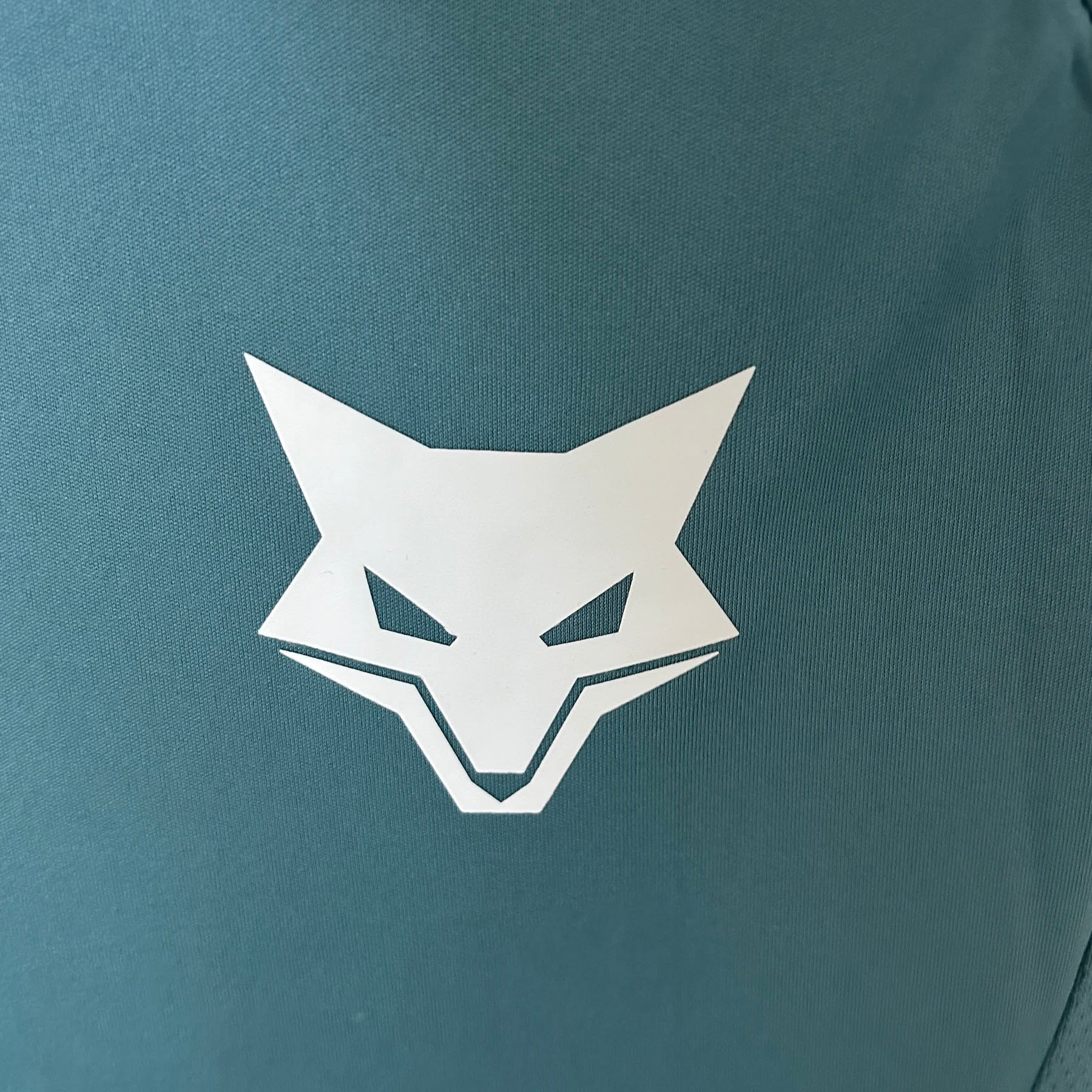 Camisa Cruzeiro Feminino Treino 25/26 Adidas