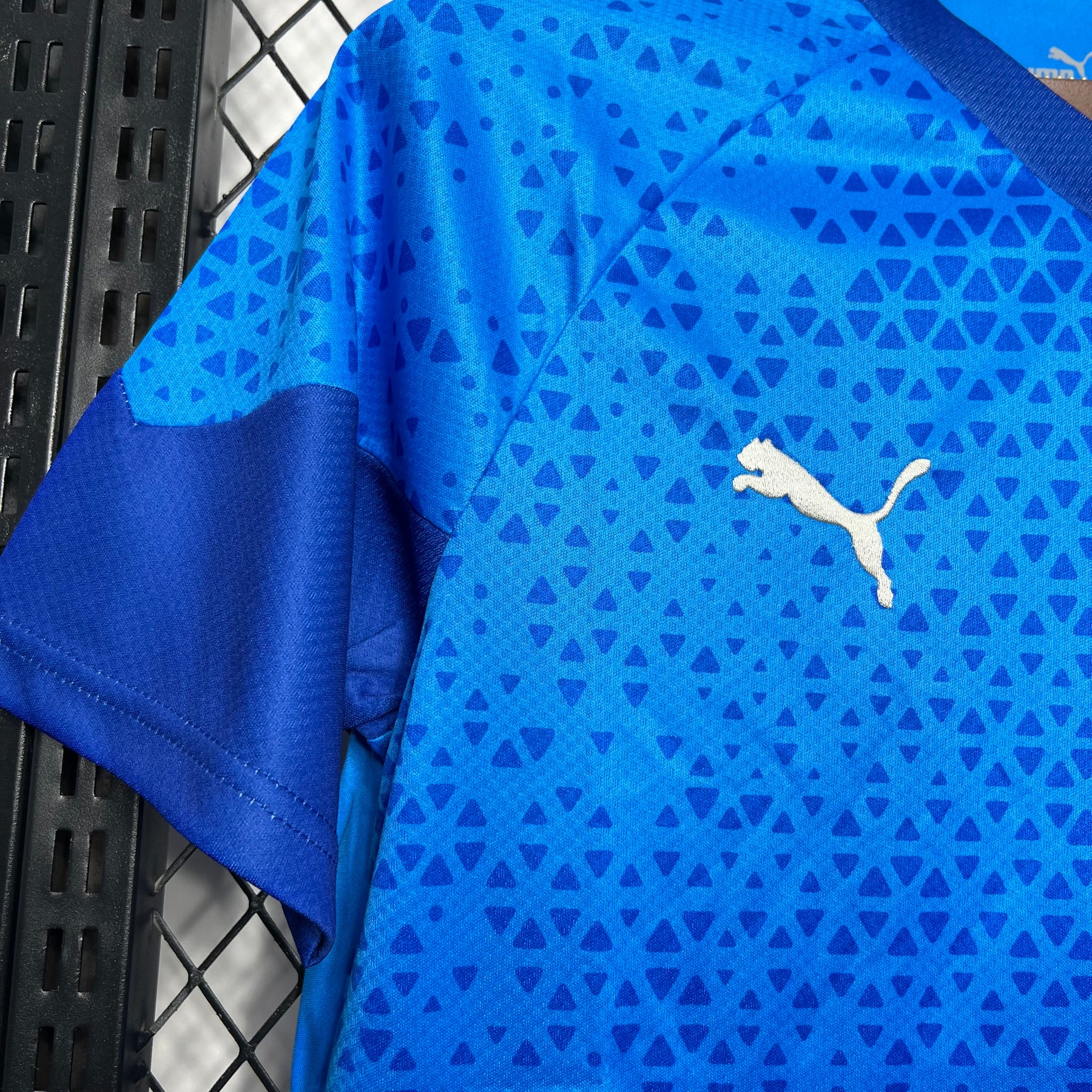 Camisa Azul Goleiro Palmeiras 2024/25