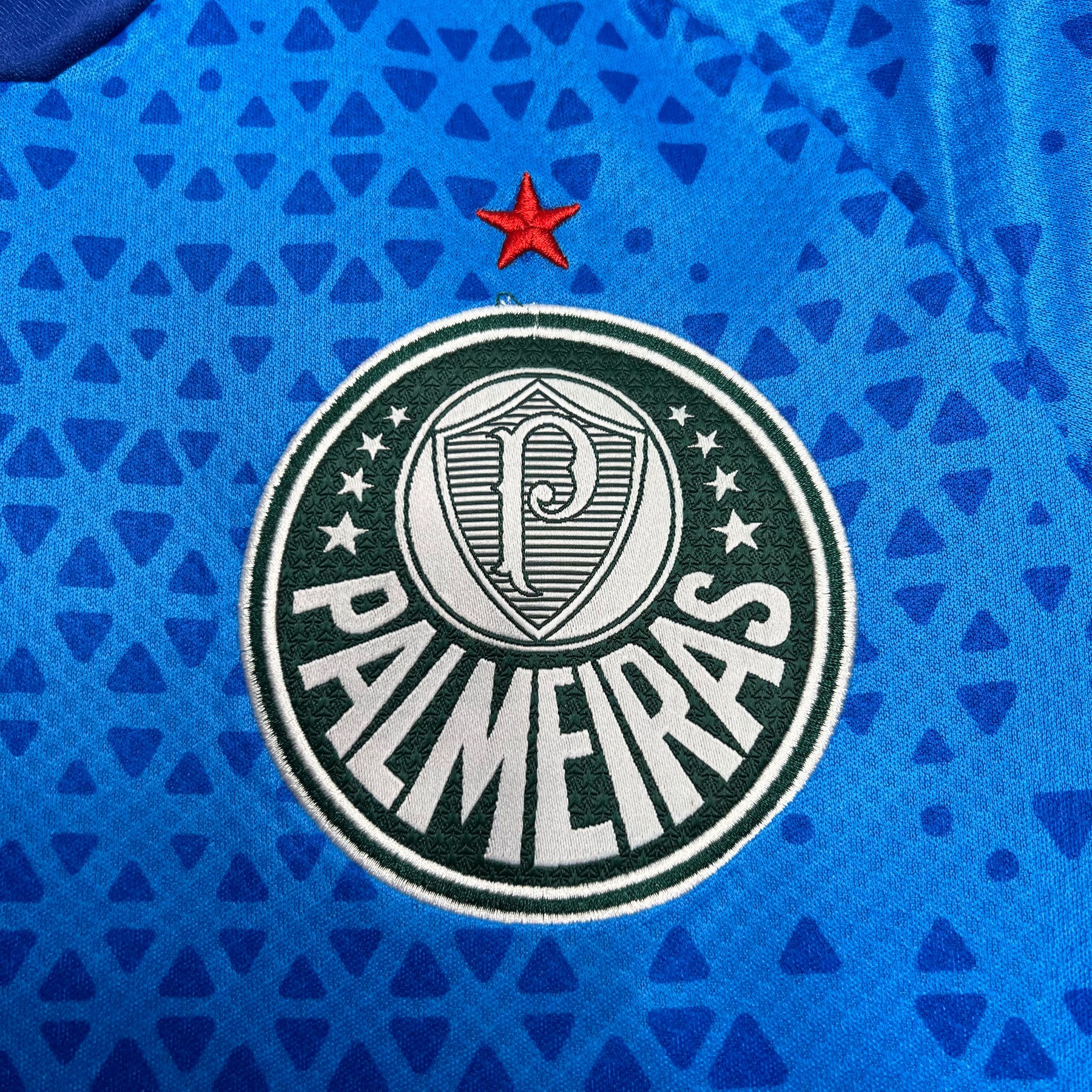 Camisa Azul Goleiro Palmeiras 2024/25