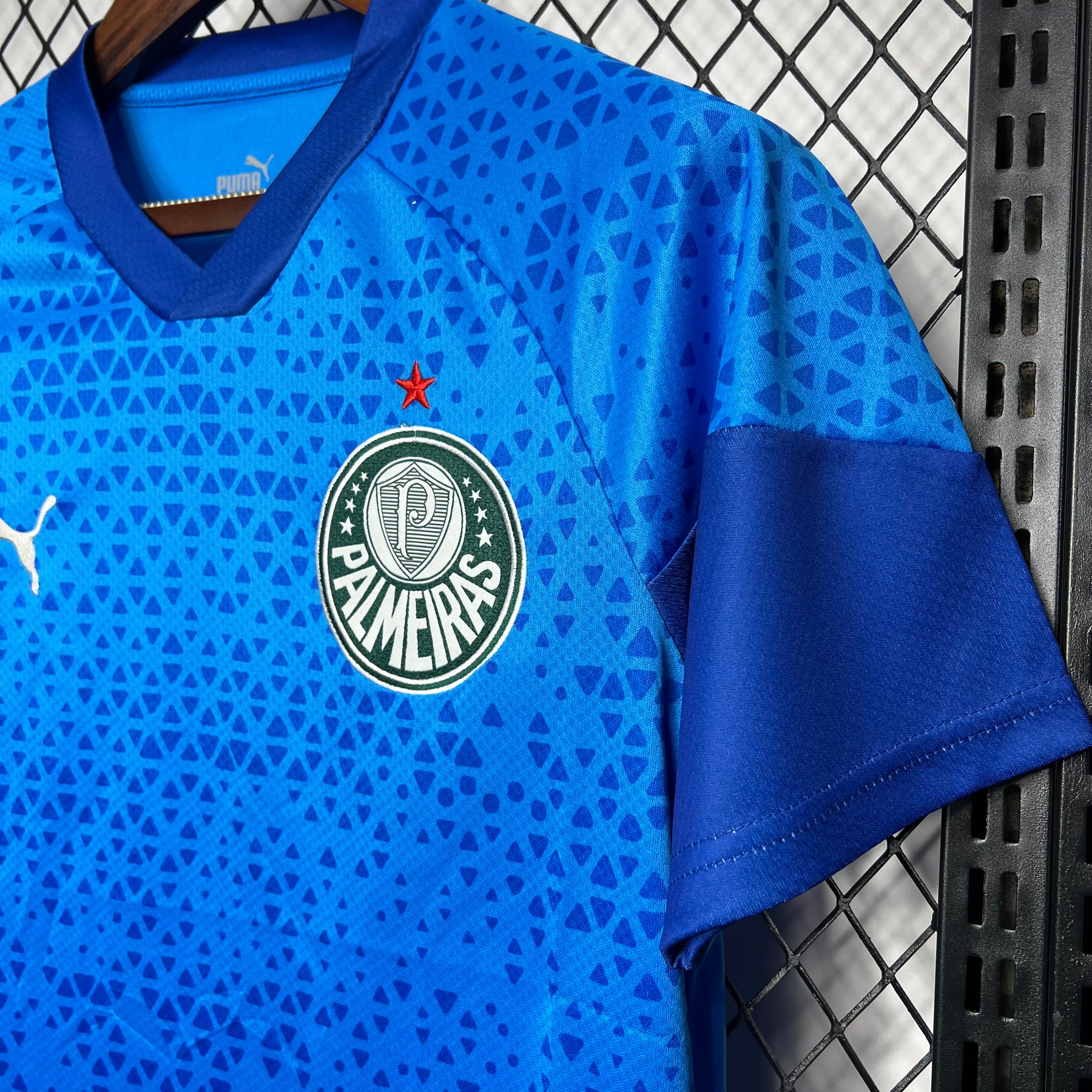 Camisa Azul Goleiro Palmeiras 2024/25