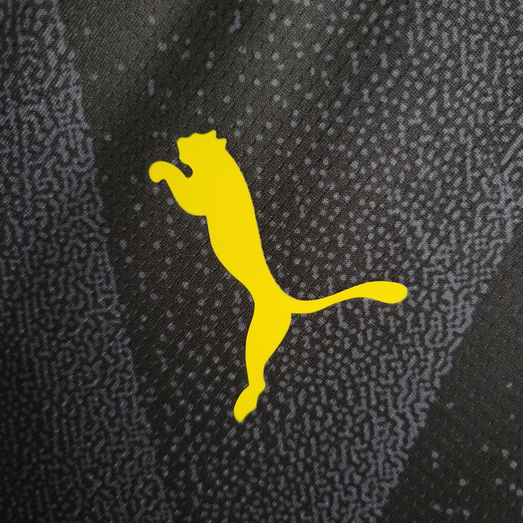 Camisa Borussia Dortmund 23/24