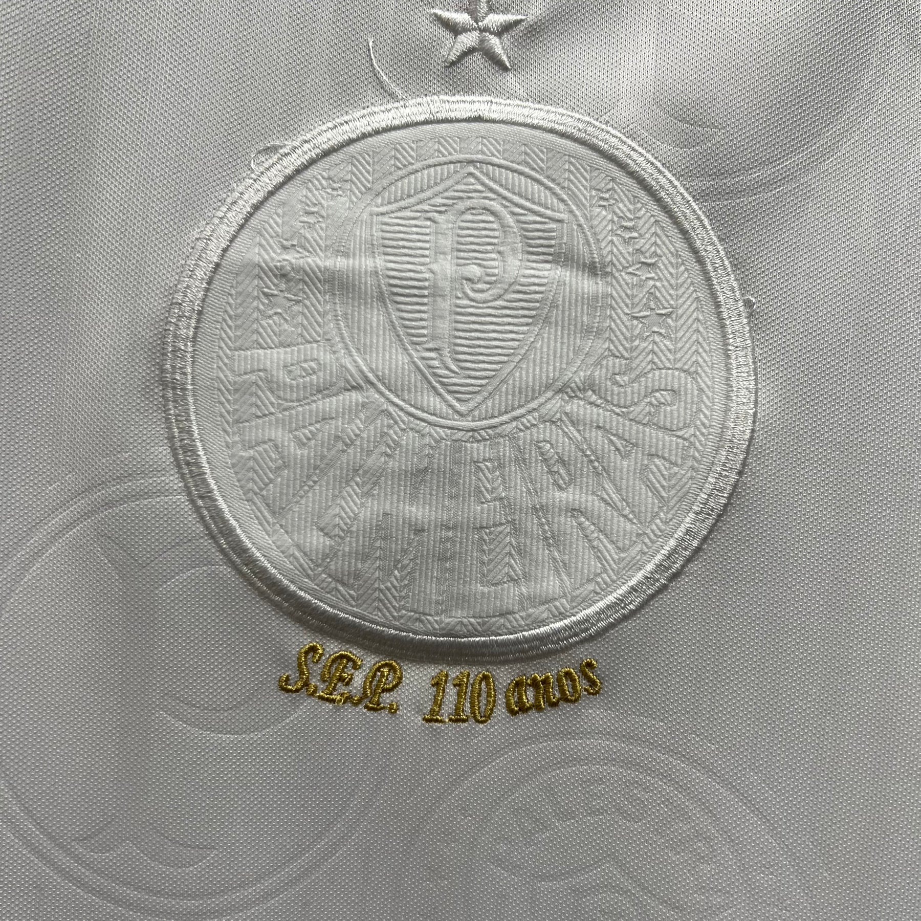 Palmeiras 2024/25 Camisa Branca