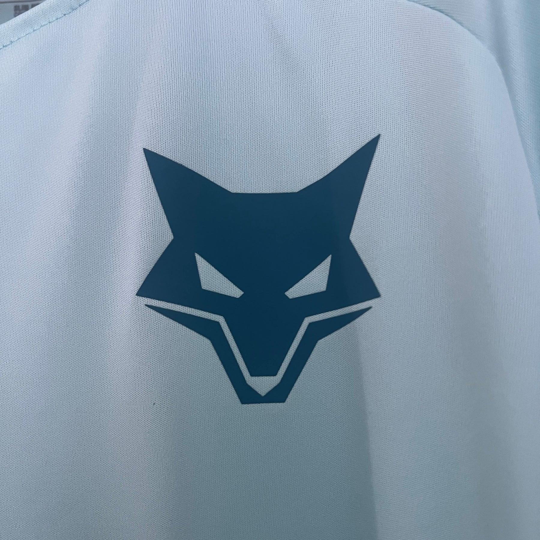 Camisa Cruzeiro Treino 25/26