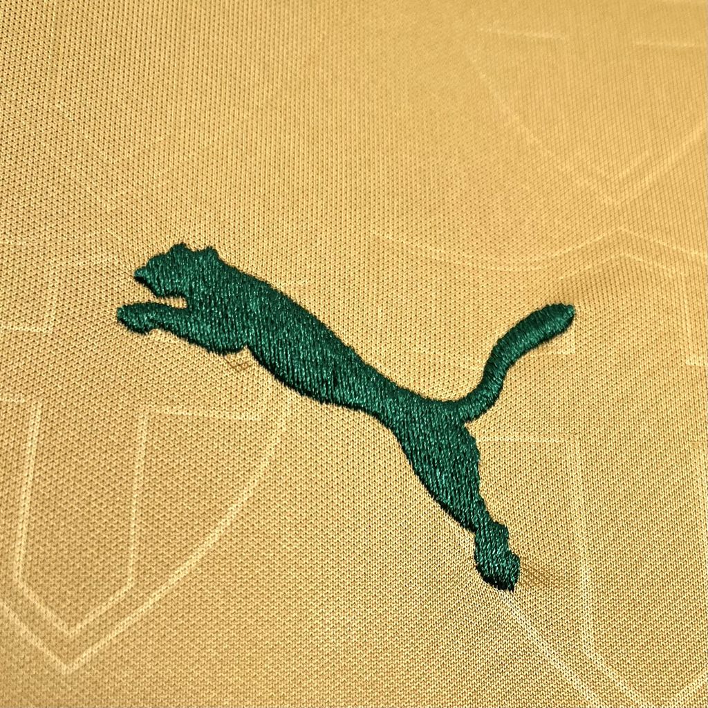 Camisa III Palmeiras 24/25