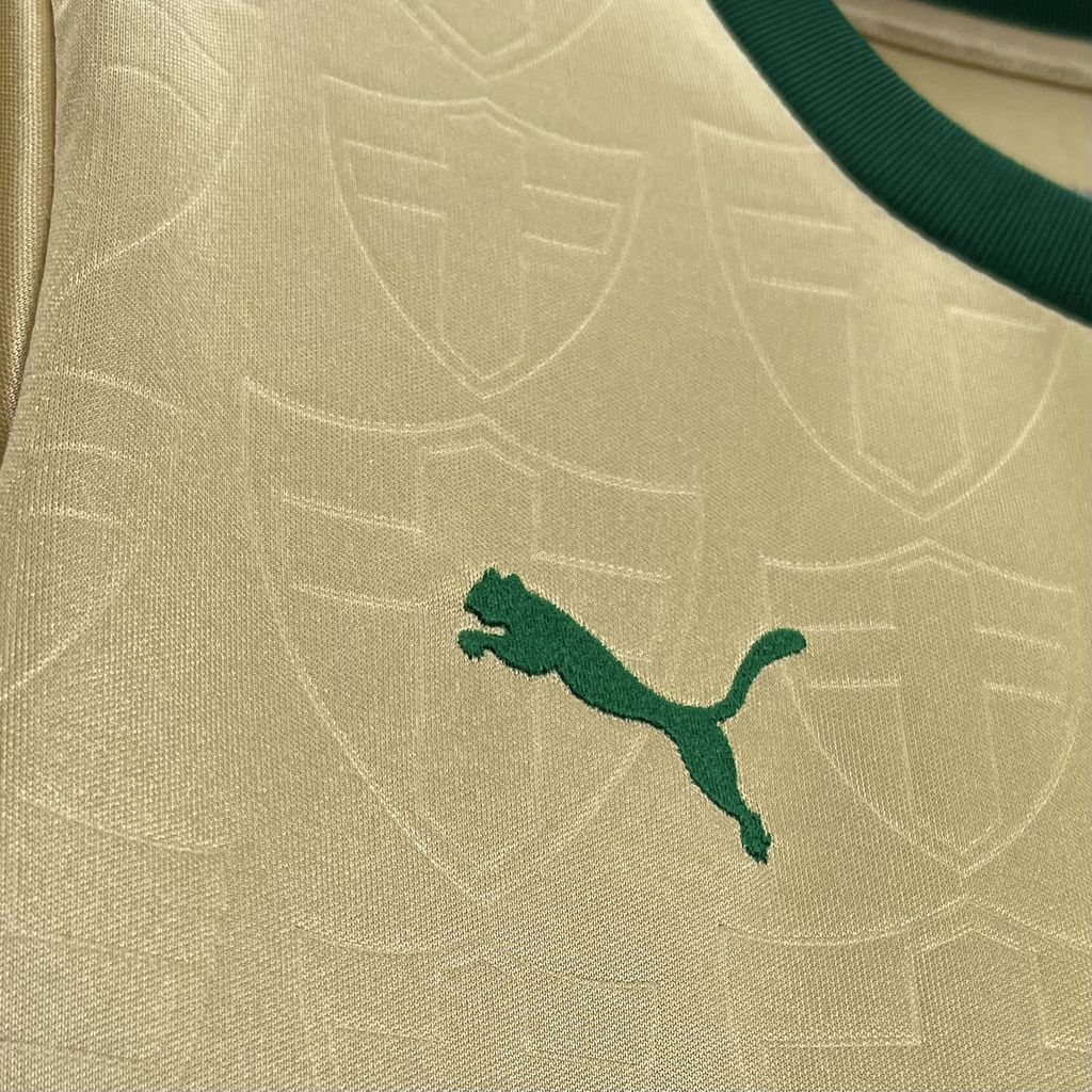 Camisa Feminina Palmeiras 24/25 Third