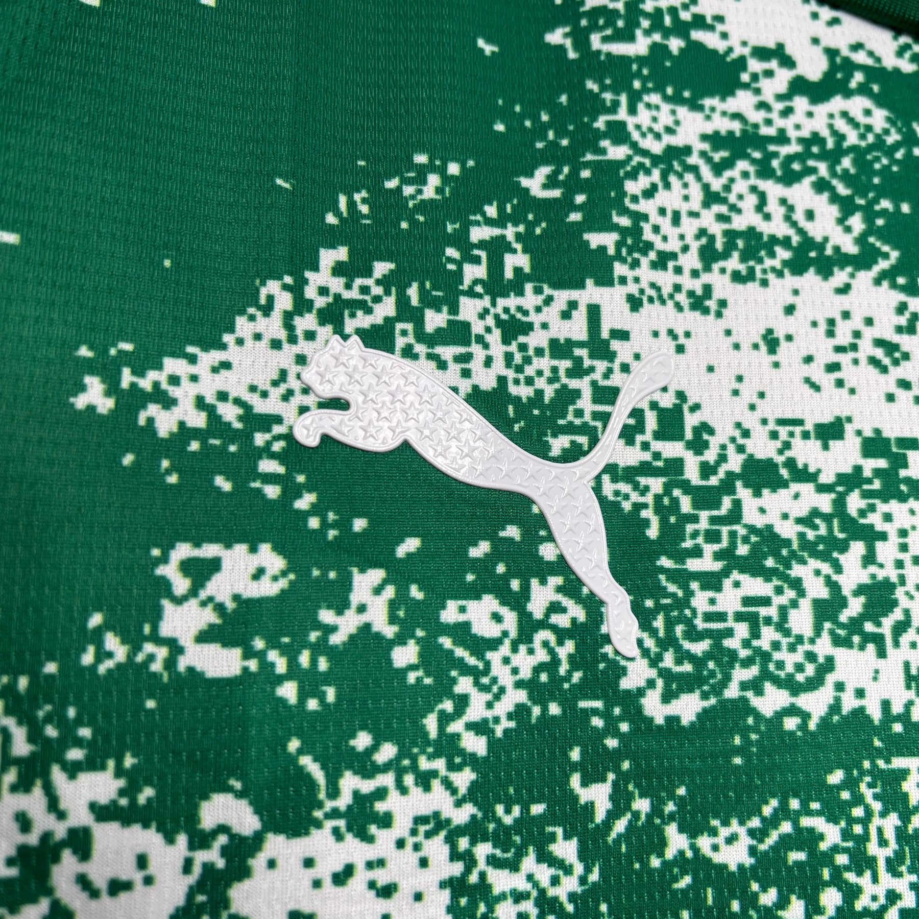 Camisa Palmeiras 24/25 Junho Verde 2º Tempo