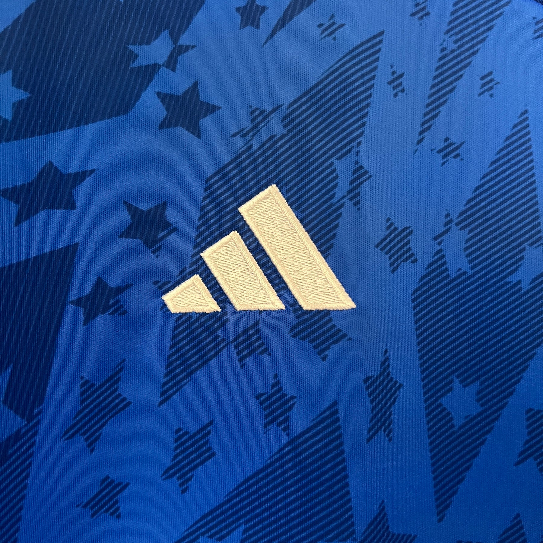 Camisa Cruzeiro 24/25 Adidas