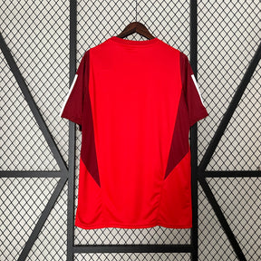 Camisa Internacional Treino 2024/25 Away