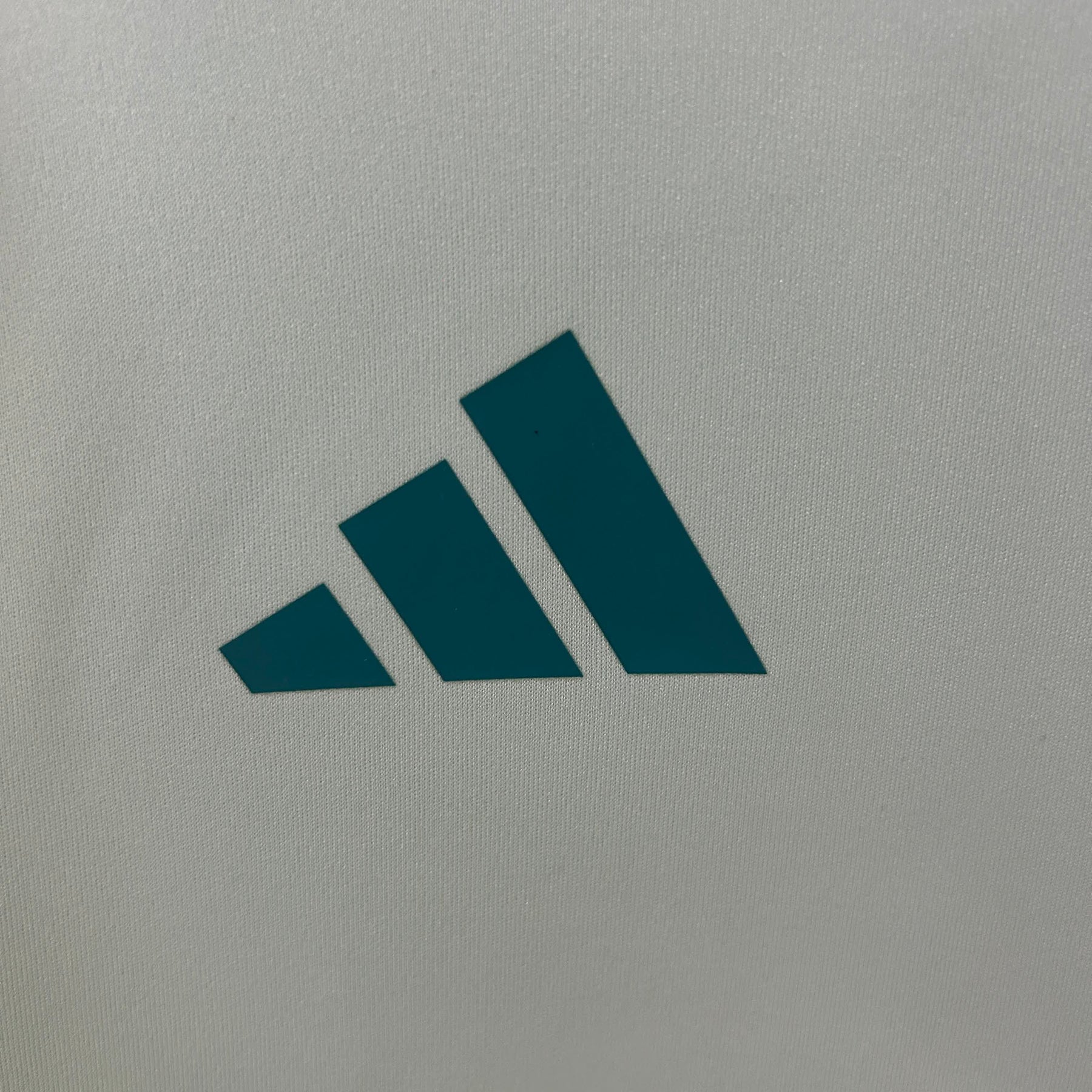 Camisa Cruzeiro Feminino Treino 25/26 Adidas