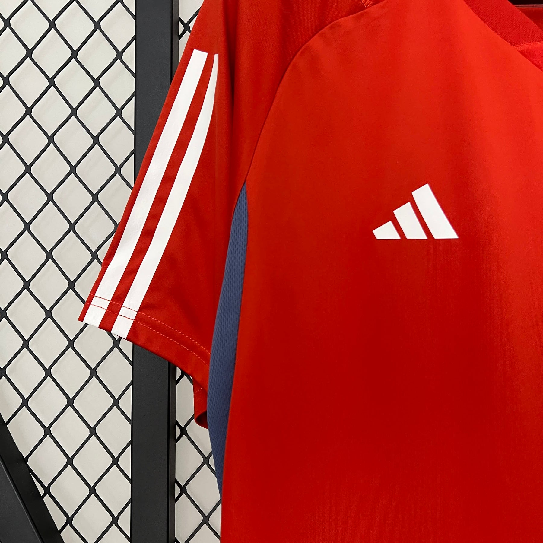 Camisa Cruzeiro 24/25 Adidas