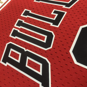 Regata Cropped Rodman Chicago Bulls Mitchell & Ness Hardwood Classics