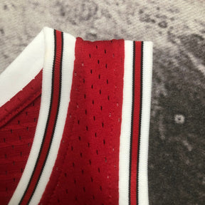 Regata Cropped Rodman Chicago Bulls Mitchell & Ness Hardwood Classics